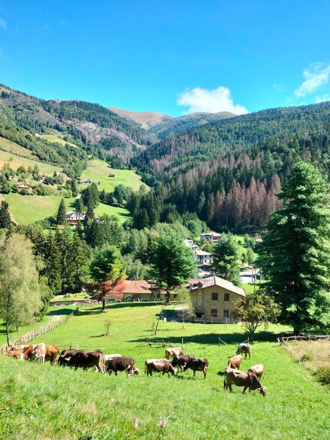 Casa Vacanza Pieve Pisogne Buitenkant foto