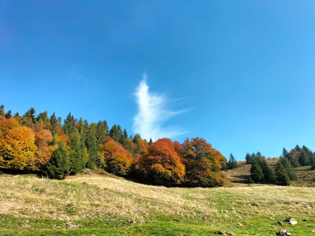 Casa Vacanza Pieve Pisogne Buitenkant foto
